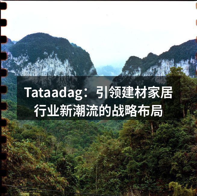 Tataadag：引领建材家居行业新潮流的战略布局