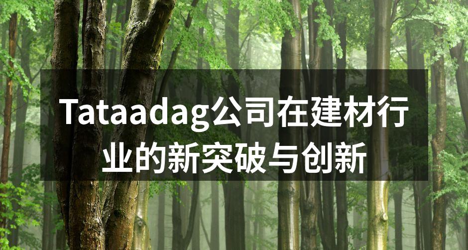 Tataadag公司在建材行业的新突破与创新