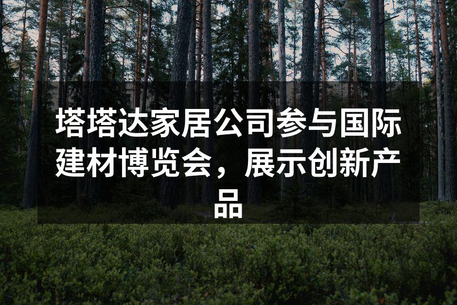 塔塔达家居公司参与国际建材博览会，展示创新产品